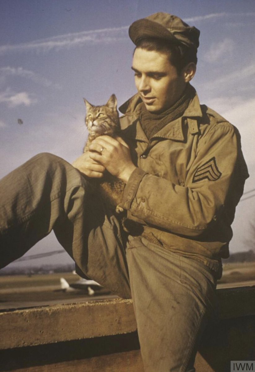 Sergeant William 'Bill' Pulliam of the 91st Bomb Group holds his cat, Cross-Eyes. Pulliam enlisted in 1942 and joined the 91st Bomb Group, where he worked as a photographer for the 401st Bomb Squadron at Bassingbourn, Cambridgeshire.🐱 Source: © IWM FRE 5671 #warhistory #WW2