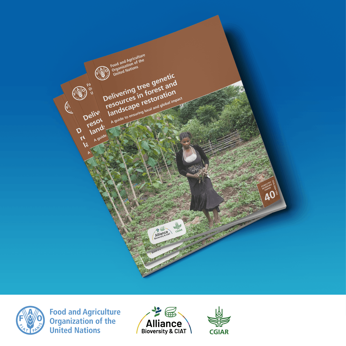 Download a free publication from @FAO & @BiovIntCIAT_eng Delivering tree genetic resources in forest and landscape restoration: A guide to ensuring local and global impact 👉 ow.ly/Z80450QrfeI #GenerationRestoration