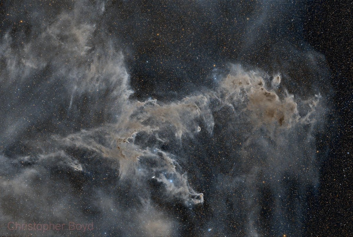AstroBin's Image of the Day: '06 April 2024 - Chamaeleon Molecular Complex' by MrSpaceman

astrobin.com/j3vf3b/?utm_so…

#astrophotography #astronomy #astrobin #imageoftheday