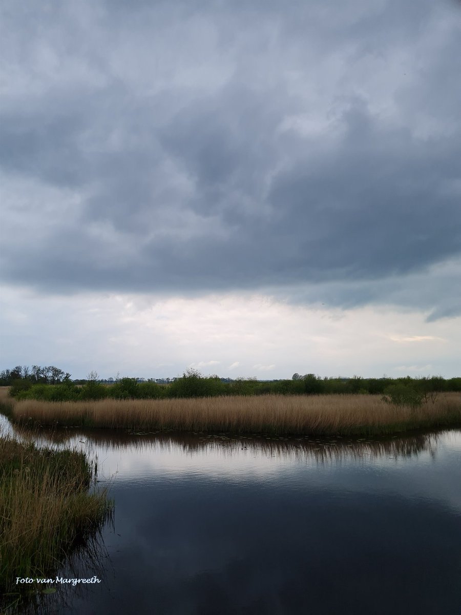 For #SundaySharing please QP or share your #photooftheweek I didn't take much photos, this one is from yesterday. It almost look like a painting and yes...kept it dry😀