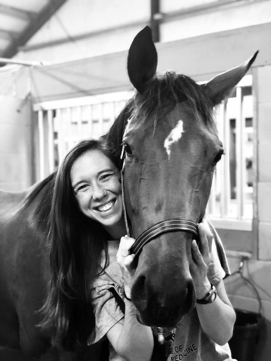 Heartfelt congratulations to Drs. Molly Patton (pictured), Britta Leise, Rose Baker, & Frank Andrews for publishing their study on bit chewing in horses, one of the top 10 most cited papers in Veterinary Surgery! What a team! #LSU #LSUVetMed #ScholarshipFirst #TopCitedArticle