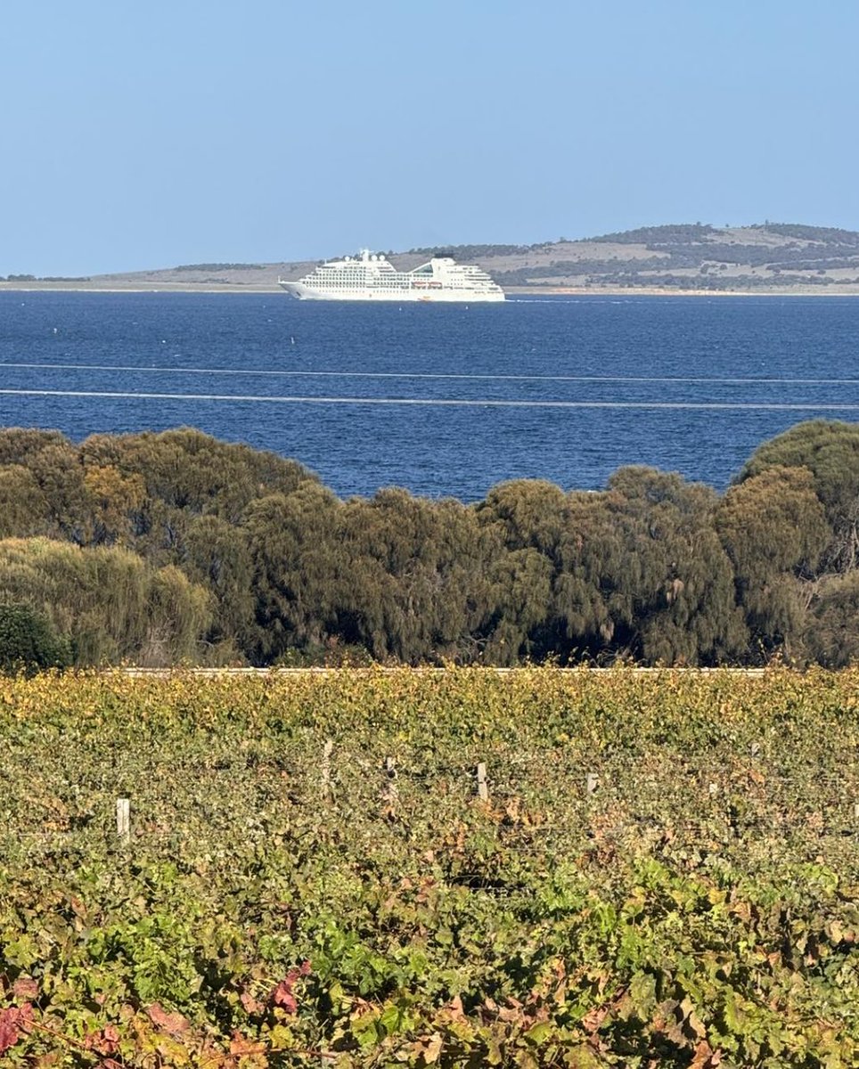 Thanks for visiting Seabourn Odyssey 👋.
We hope you enjoyed visiting Boston Bay Wines
bostonbaywines.com.au