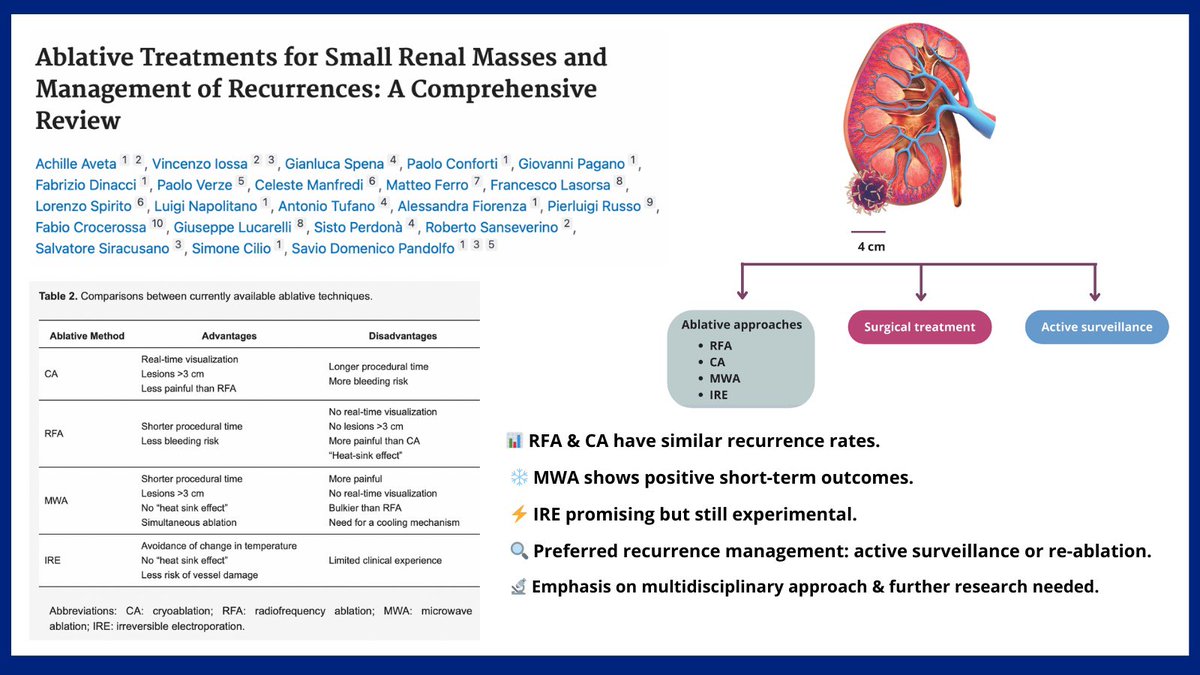 Achille Aveta (@drachilleaveta) on Twitter photo Glad to share our last paper on #Ablative #Treatments for SRMs and Management of Recurrences:
RFA & CA 🧊 = similar recurrence,
MWA 🔥 = positive short-term,
IRE ⚡ still experimental.
#Recurrence? Opt for #surveillance or #reablation. More research needed!
<a href="/PandolfoSD/">Savio Domenico Pandolfo</a> Glad to share our last paper on #Ablative #Treatments for SRMs and Management of Recurrences:
RFA & CA 🧊 = similar recurrence,
MWA 🔥 = positive short-term,
IRE ⚡ still experimental.
#Recurrence? Opt for #surveillance or #reablation. More research needed!
<a href="/PandolfoSD/">Savio Domenico Pandolfo</a>