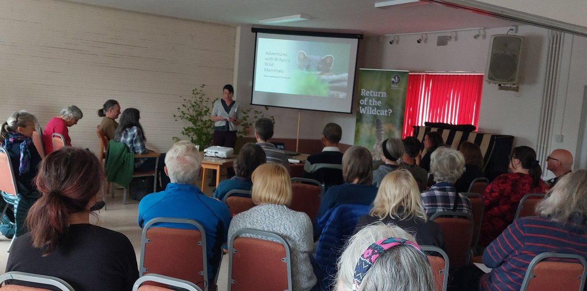 Our Sunday double-bill with @devonwildlife discussing wildcat reintroduction and #conservation of water voles, beavers and pine martens. Great to meet >50 wildlife wardens doing great stuff in Teignbridge. @TimKendall70 @OneworldNews @DevonLNP @gow_derek @Mammal_Society