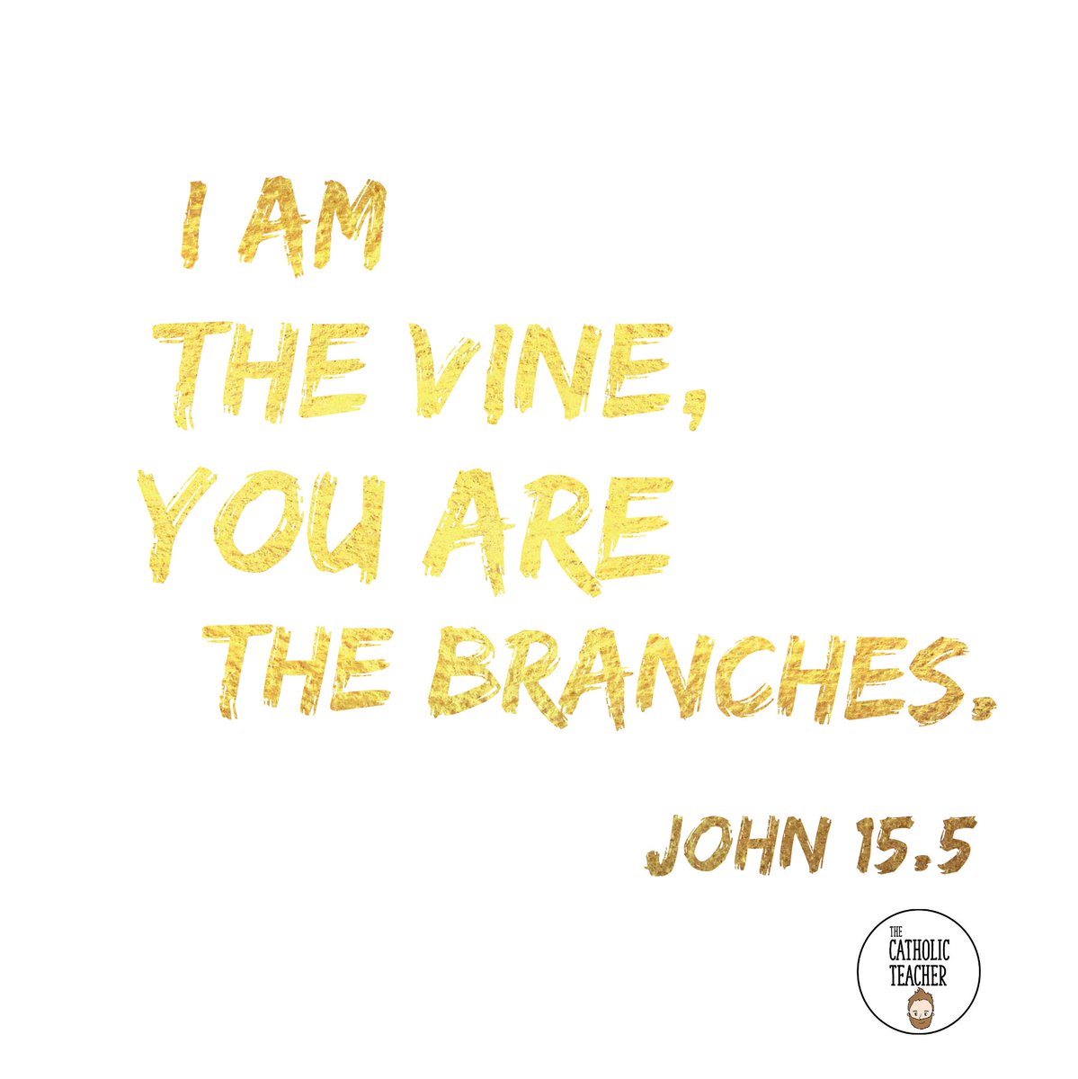 Beautiful imagery of Jesus as the vine and all of us as the branches who receive life from this vine..

#vineandbranches #jesus #god #faith #catholic #catholiclife #teacher #teacherlife #catholicidentity #thecatholicteacher