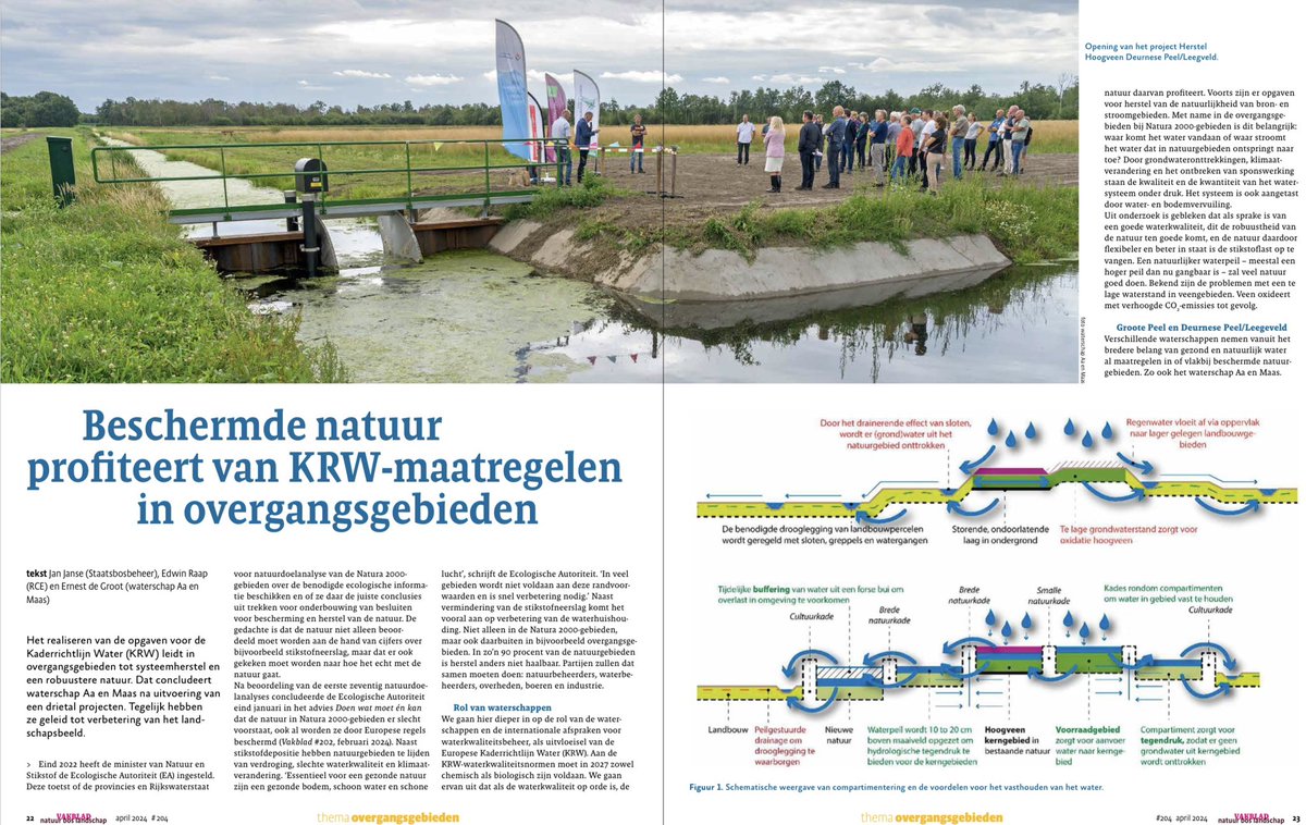 #KRW | Realiseren van opgaven Kaderrichtlijn Water leidt tot systeemherstel, robuustere natuur en verbetering van landschapsbeeld💧Aldus @groot_ernest @aaenmaas @eraap69 & Jan Janse @staatsbosbeheer in Vakblad Natuur Bos Landschap. Lees verder in: vakbladnbl.nl/wp-content/upl… pag. 22