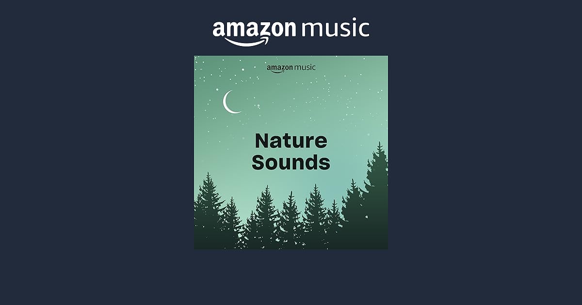Listen to the #NatureSounds station on #AmazonMusic: 
music.amazon.com/stations/AXFBA…

⬇️