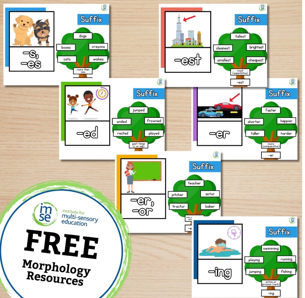 Morphology+ Suffix Classroom Posters Freebie