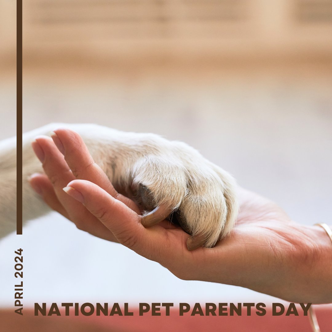 Happy National Pet Parents Day! Today, we celebrate all the loving pet parents who shower their fur babies with endless affection, care, and treats!

#NationalPetParentsDay #PurePheasant #FurryFamily