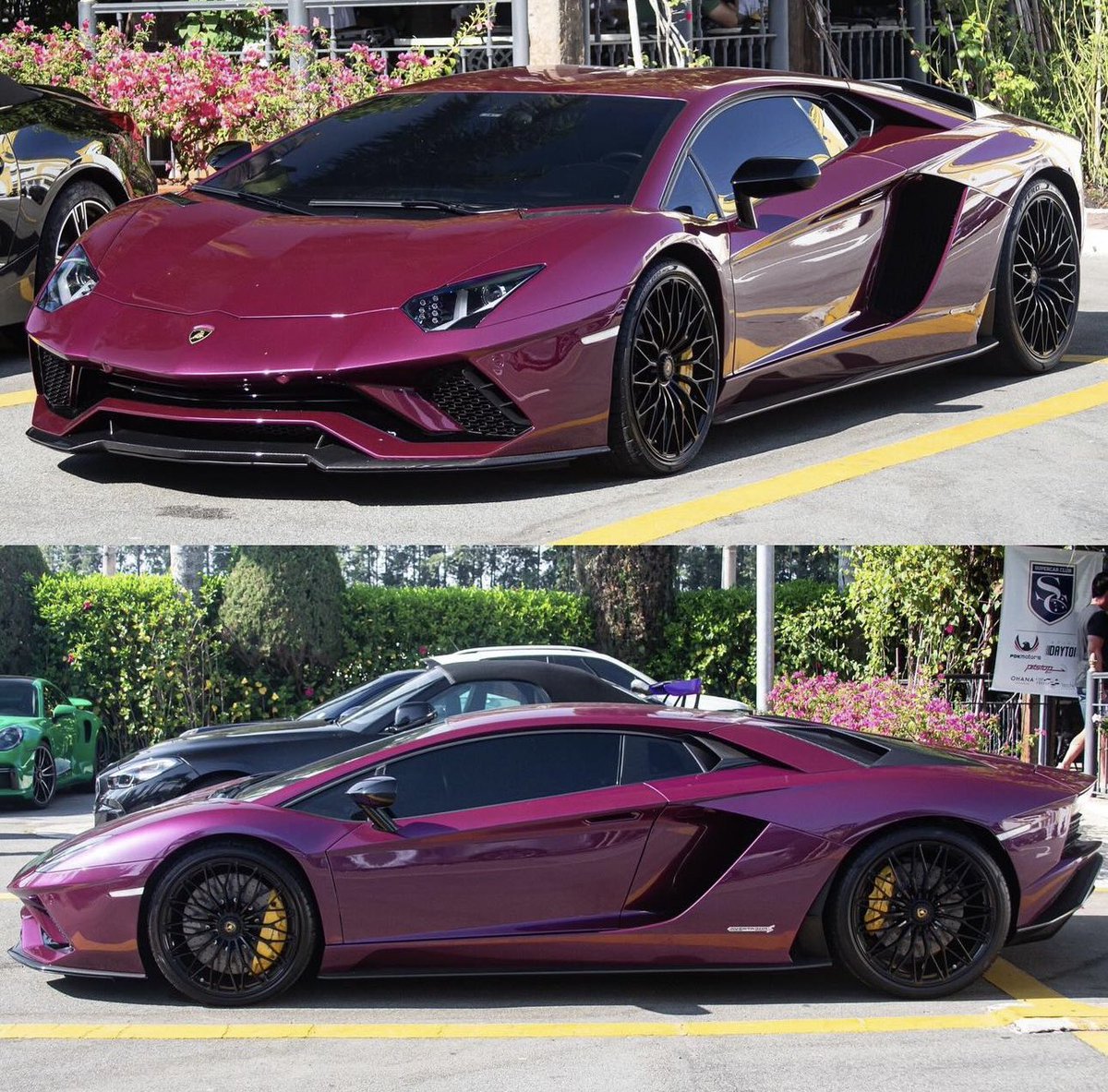 Viola Ophelia Aventador S