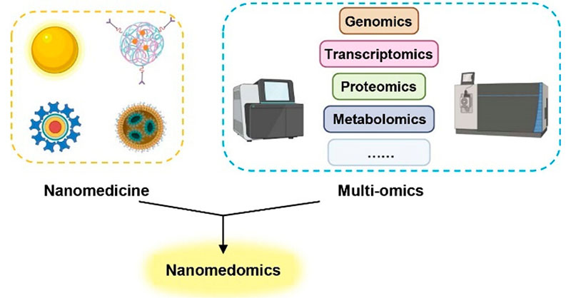 This review provides insights into the application of various #omics studies to understand the mechanistic action of #nanodrugs, highlighting their advantages and outlining future directions in nanomedomics. @Johannes_Karges @ruhrunibochum Read here 👉 go.acs.org/96U