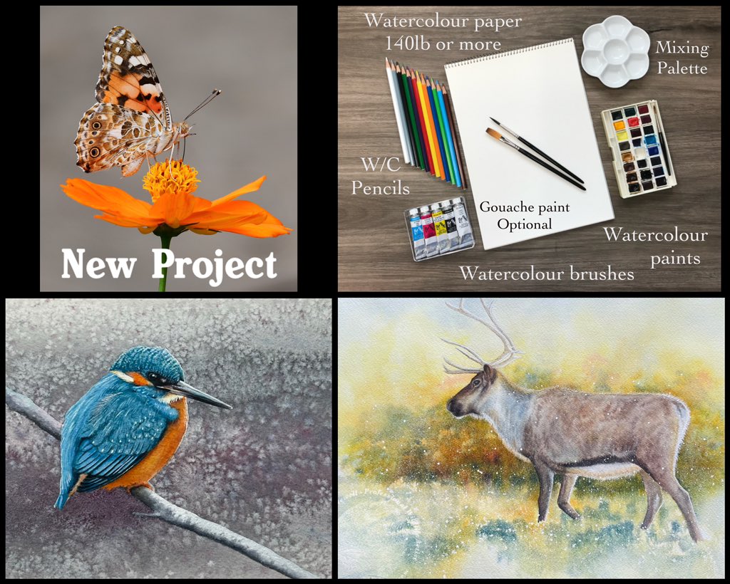 🎨 Saturday 18th May - three weeks left to book your place on my latest watercolour workshop, limited places, beginners welcomed - line art provided. Note: materials not included.  (50% of proceeds going straight back into conservation):
🎨 wwt.org.uk/wetland-centre…
<a href="/WWTMartinMere/">WWT Martin Mere</a>