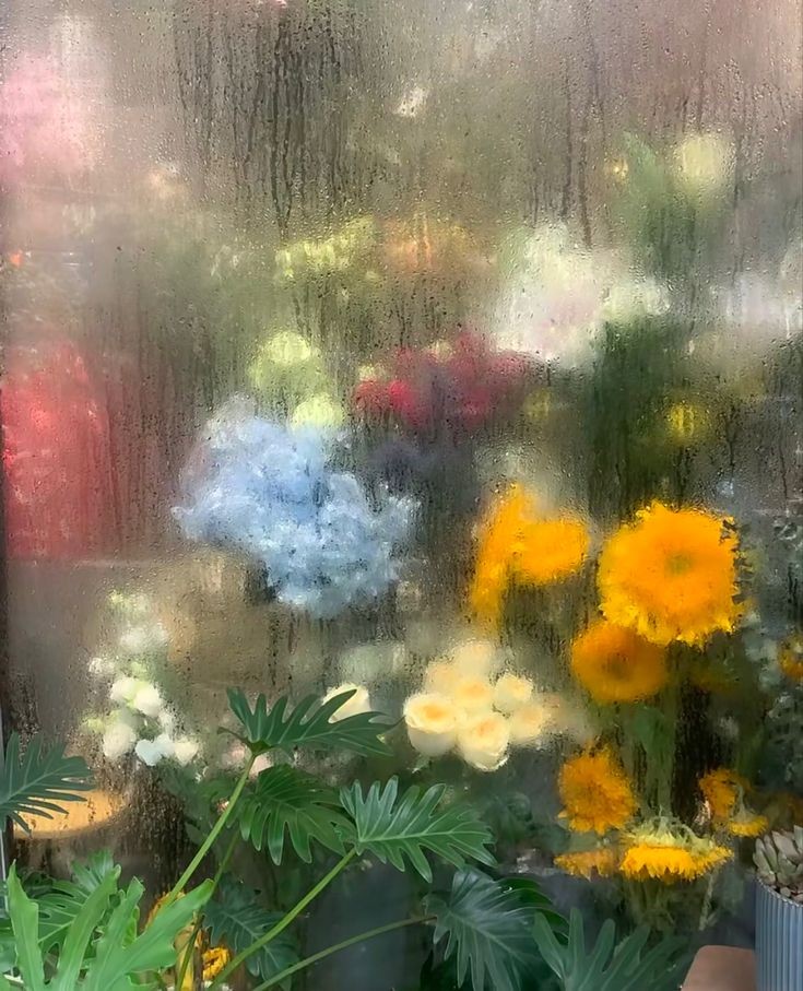 scarlettwants's tweet photo. Flower shops on a rainy day https://t.co/by2aub3YGD