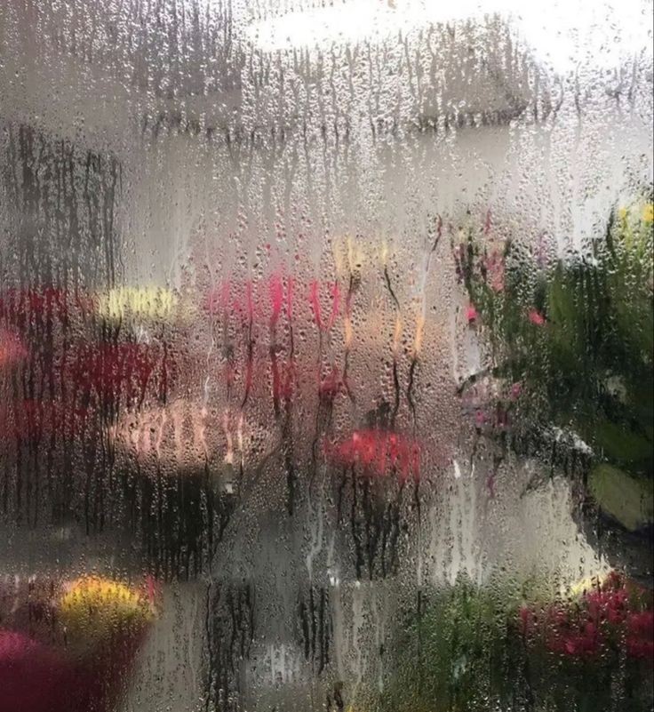 scarlettwants's tweet photo. Flower shops on a rainy day https://t.co/by2aub3YGD