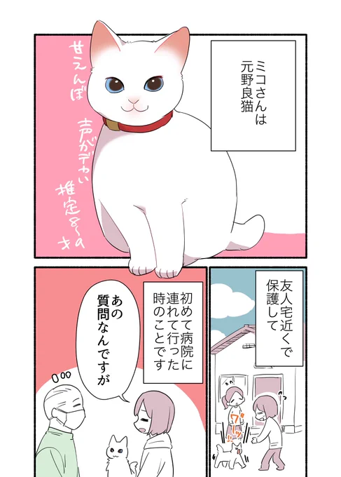 飼い猫の年齢がわからない話 (1/3)  #漫画が読めるハッシュタグ #愛されたがりの白猫ミコさん