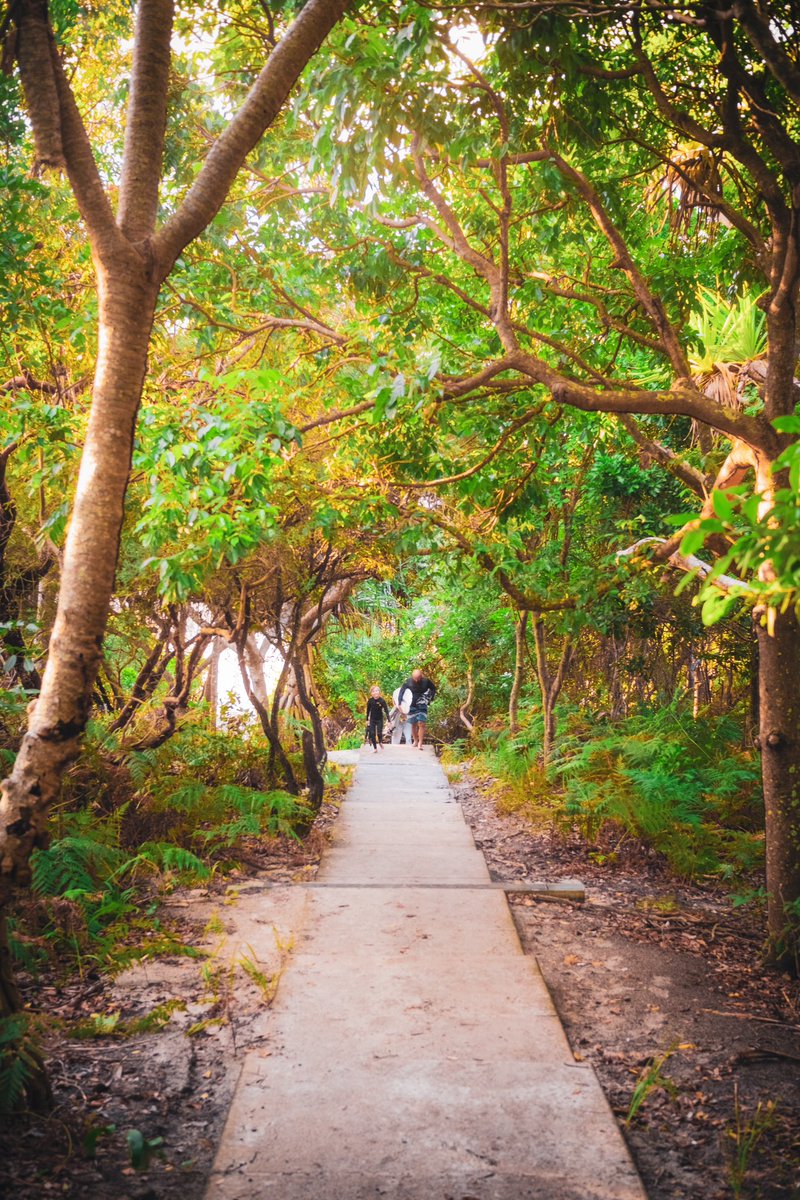 On the way up

#onthewayup #whereveryouare #yourdestiny #livingbythesea #atthebeach #watchingsunset #inyourowntime #takeamoment #goldenlight #goldensunset #inthedistance #withfamily #byronbay #fujifilm #xpro3