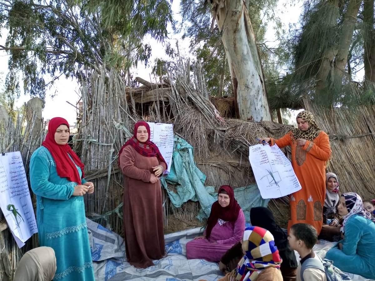 2⃣5⃣ female farmers🧕👩‍🌾at #KafrElSheikh Farmer Field School celebrated Harvest Day, where the productivity of an acre increased by 25% through the adoption of good climate-smart agricultural practices, as part of the project to enhance💧productivity in agriculture💵by @JapanGov