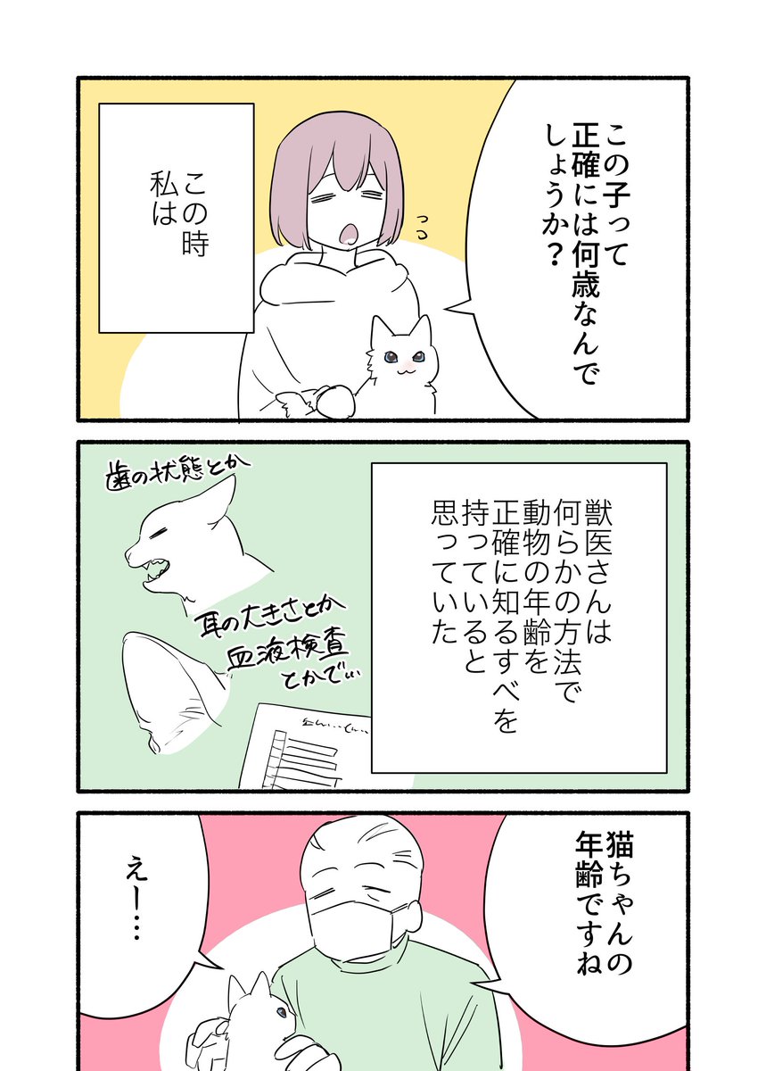飼い猫の年齢がわからない話
(2/3)
#漫画が読めるハッシュタグ
#愛されたがりの白猫ミコさん