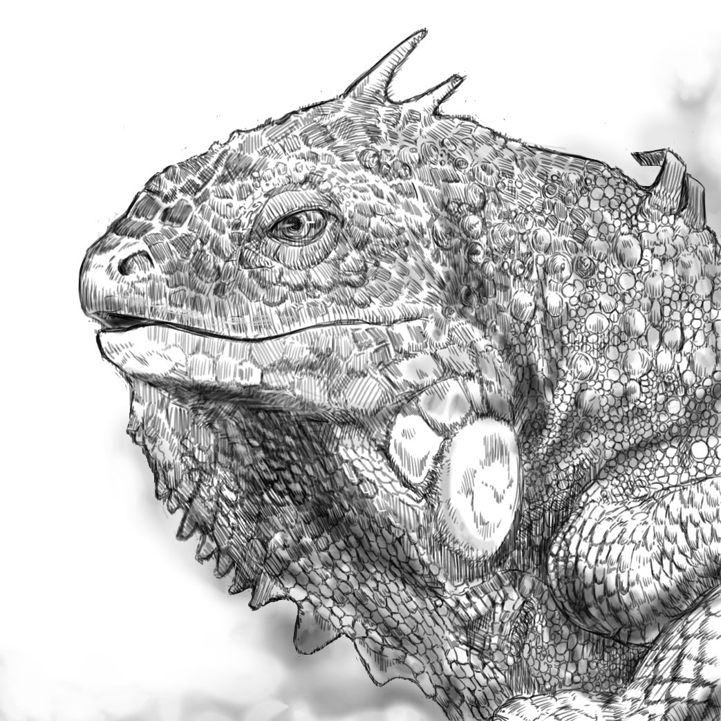 カッコいい爬虫類の描き方

①頭と胴体の位置を決める
②残りの爬虫類を描く