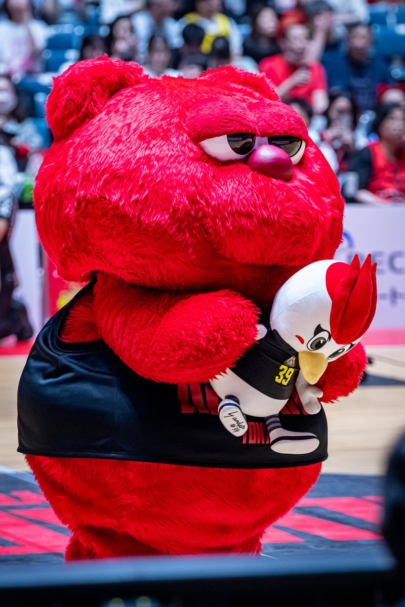 #6009 #ルーク 🐻‍♥️ #アルバルク東京 
#サンダくん #群馬クレインサンダーズ 
#Bリーグ (24.4.28代々木第一体育館) plsrt