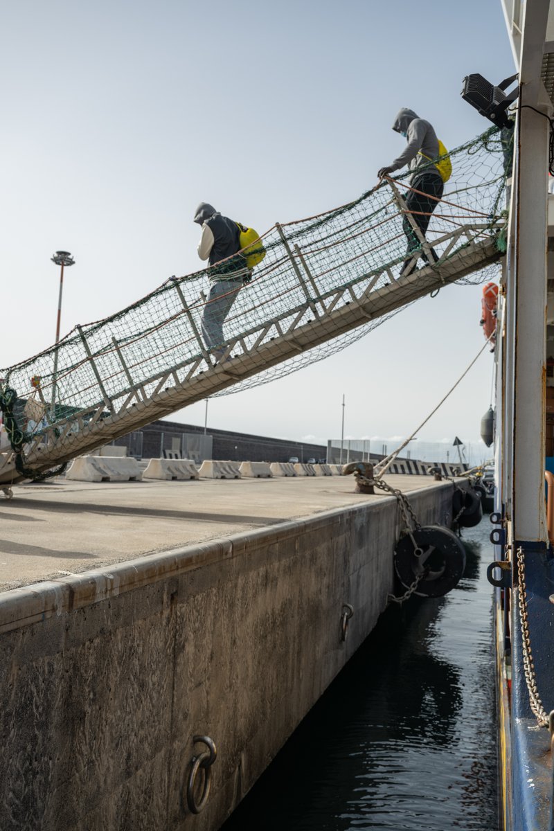 47 guests left #SeaWatch5 in Catania this morning. We wish them much strength because their struggle for safety is not over yet. Italy and the EU will keep trying to deprive them of their rights & get rid of them with inhuman measures as soon as possible.