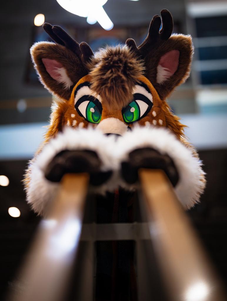 Let me slide into your timeline. 

📸 @Nighti331 

#furry #Fursuit