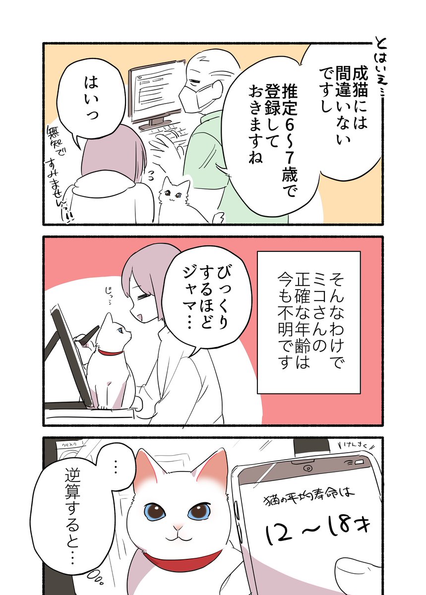 飼い猫の年齢がわからない話
(3/3)
#漫画が読めるハッシュタグ
#愛されたがりの白猫ミコさん 