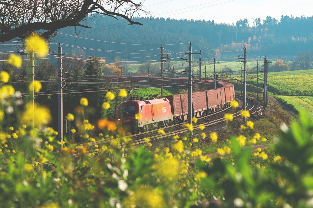 Der Weg in die Zukunft des Güterverkehrs führt ganz klar über die Schiene! 🚂🌿 Mit geringen Emissionen und effizientem Energieverbrauch setzt sie Maßstäbe für eine grünere Zukunft. 💚 Erfahre mehr über die Vorzüge des Schienengüterverkehrs 👉 bit.ly/3wansE0 © ÖBB / Payr