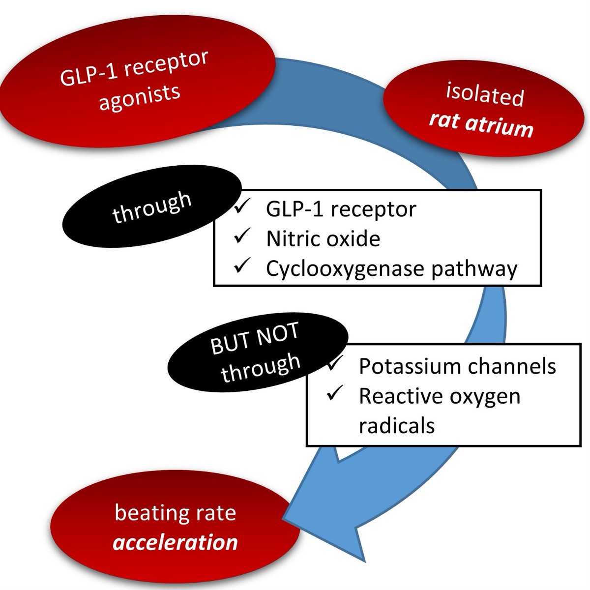 #GLP1RA: Cardiovascular Effects in Diabetes #Diabetes #GLP1 pubmed.ncbi.nlm.nih.gov/38547520