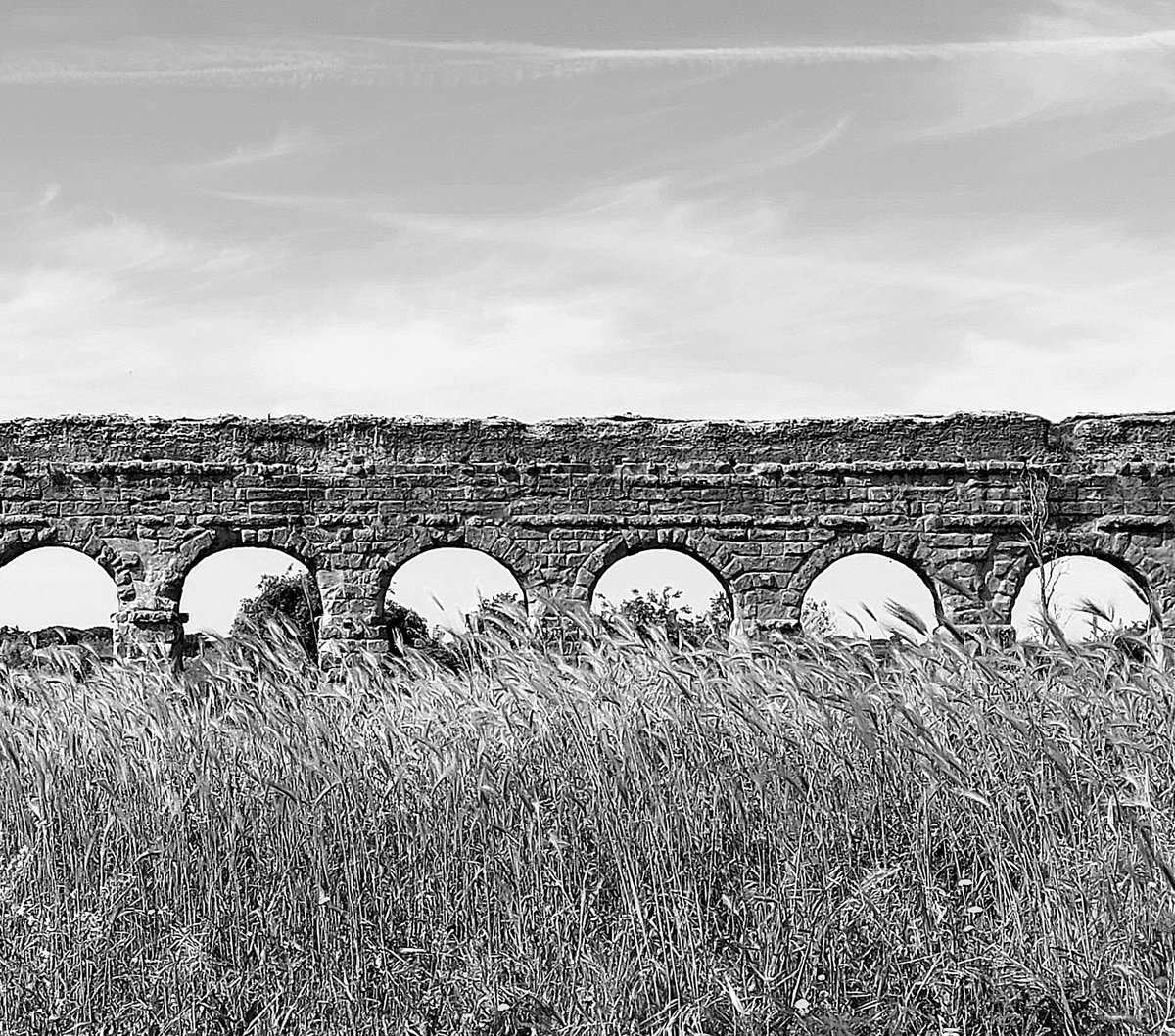 Verde grano...oggi al <a href="/parcoacquedotti/">Parco Acquedotti</a> <a href="/parcoappia/">Parco Appia Antica</a>
