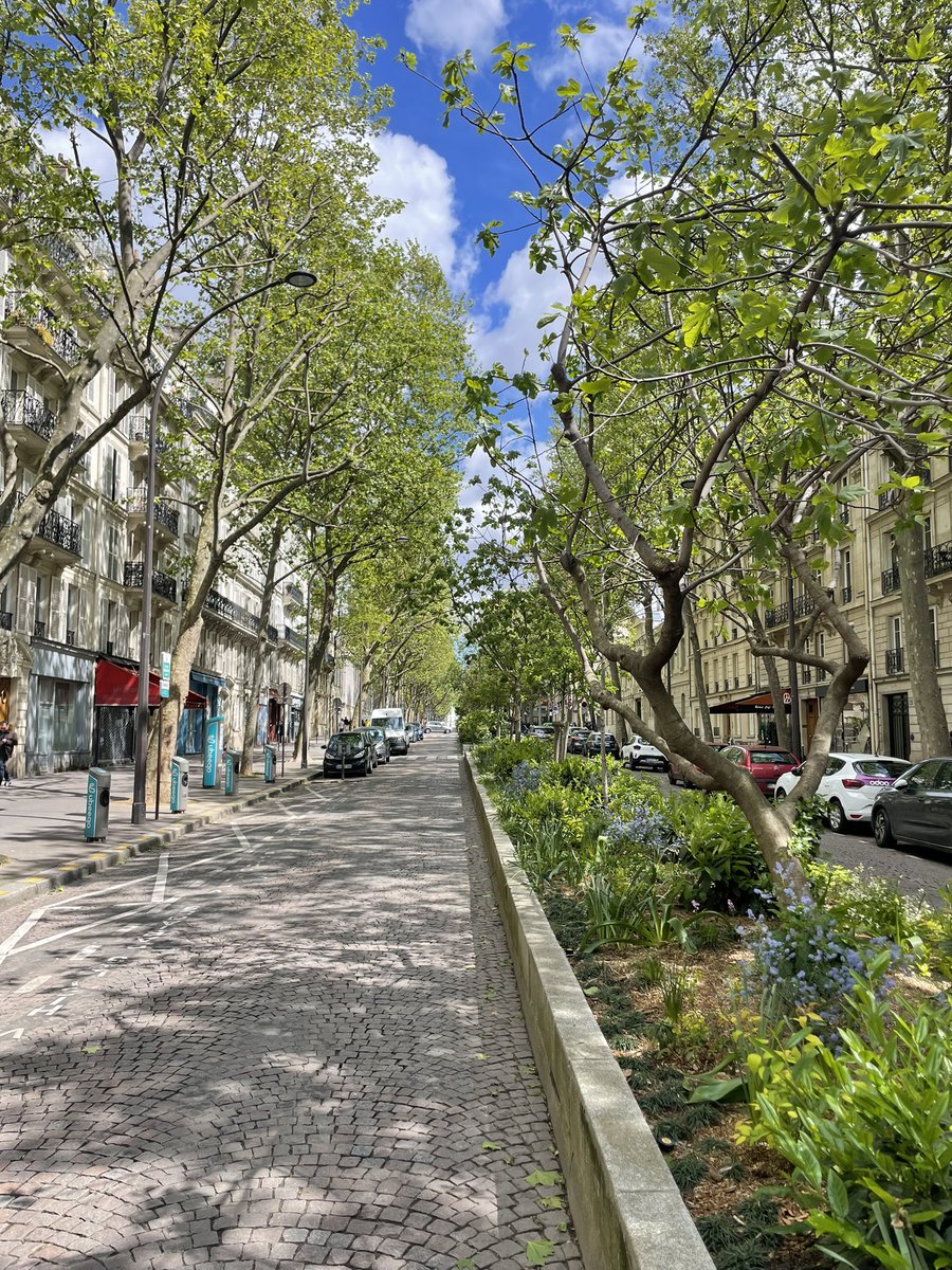 ☀️Une vraie vie de quartier c’est possible. Trudaine et ses merles qui chantent dans #paris9.