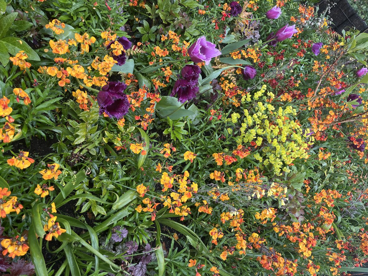 Colour at the Serpentine- extraordinary by #yinkashonibare exhib, gob smackingly good (£0)plus Gerhard Richters jolly striped structure and nature joining in