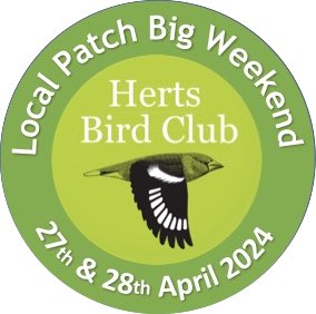 Rain has not stopped play on the @Hertsbirds Local Patch Big Weekend: Little & Arctic Tern, Osprey, Hen & Marsh Harrier & Short-eared Owl have been highlights along with other patch surprises. It’s the last big push so best of luck in adding those final bonus points! #hertsbirds