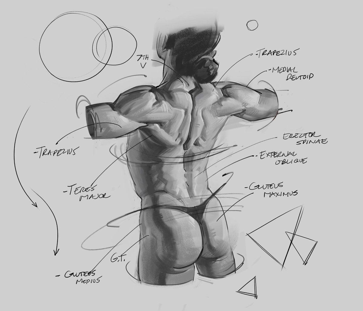 Morning sketch and study of the back muscles! #maletorso #back #muscles #humananatomy #anatomy #drawing #sketches #doodles #art #rendering #shading #teresmajor #glutes #obliques #deltoids #figuredrawing