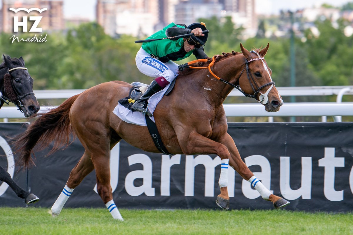 Orden definitivo de la cuarta carrera, Premio Luis Manso Rocca: 🥇 Bribón (Noozhoh Canarias) 🥈 Medianoche (Kool Kompany) 🥉 Peken (Bow Creek)