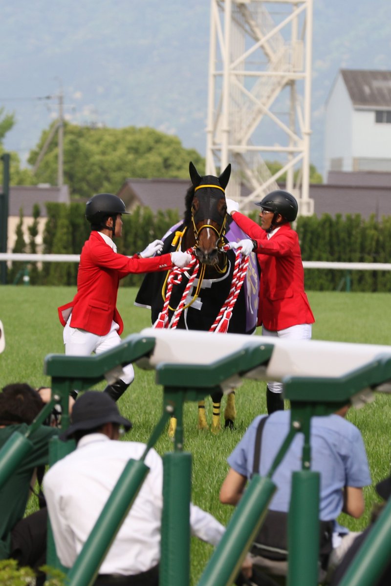 2024/04/28京都11R第169回天皇賞(GⅠ/芝・外3200m)　優勝⑭テーオーロイヤル
牡6 鹿毛 馬主：小笹公也氏 栗東・岡田稲男厩舎 菱田裕二騎手
父 リオンディーズ
母 メイショウオウヒ(マンハッタンカフェ)

重賞連勝中のテーオーロイヤルが、3連勝でGⅠ初制覇！！