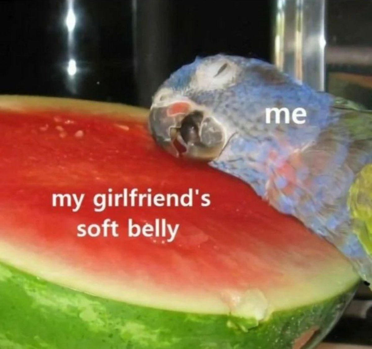 forevers's tweet image. 