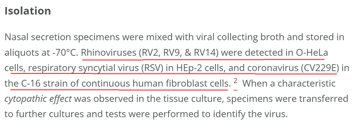 @OrganaWhite @AllenMcleish They DID NOT find any virus directly in the fluid. 
HeLa cells are cervical cancer cells
HEp-2 is human laryngeal epidermoid carcinoma cell line
Human fibroblast is from biopsies.
ALL CULTURES.
Why can't the 'virus' be found directly in the fluid?
You really have no idea what…