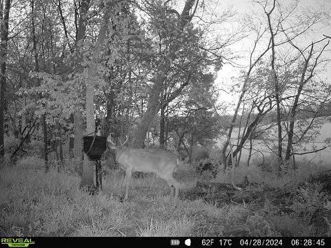 That’s not something you expect to see in April 😳