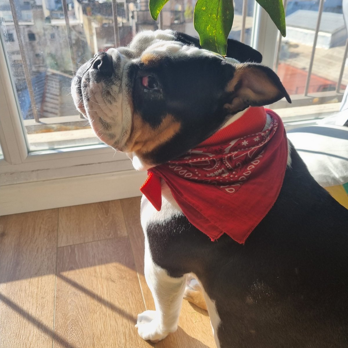 #EsteFinde con Lola de cara al sol <a href="/todonoticias/">TN - Todo Noticias</a>