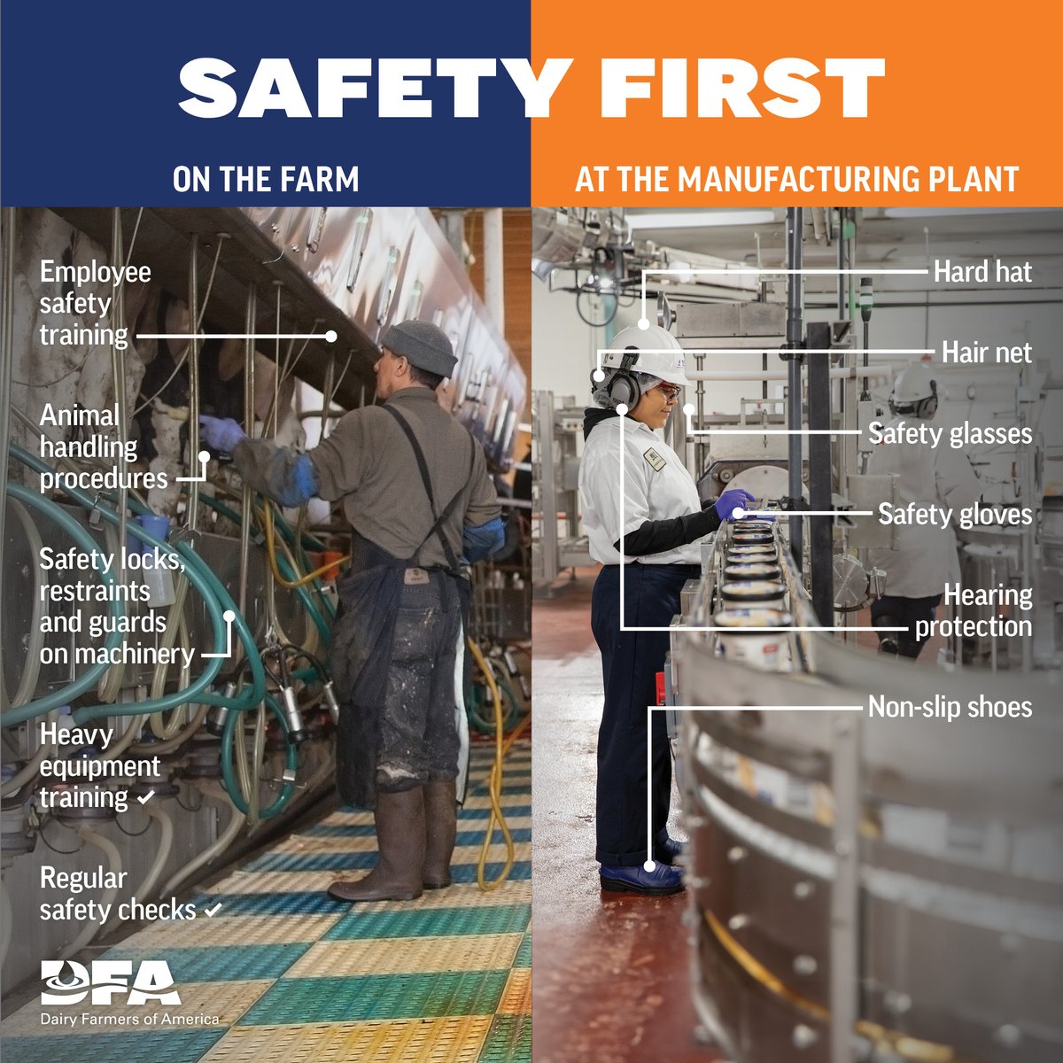 We're celebrating #WorldDayforSafetyandHealthatWork! 🎉 At DFA, safety is our priority, from 🐄 farms to 🏭 dairy manufacturing plants. Our farmer-owners ensure their employees and herds are safe, while our EHS team equips plant workers with top safety gear and training.
