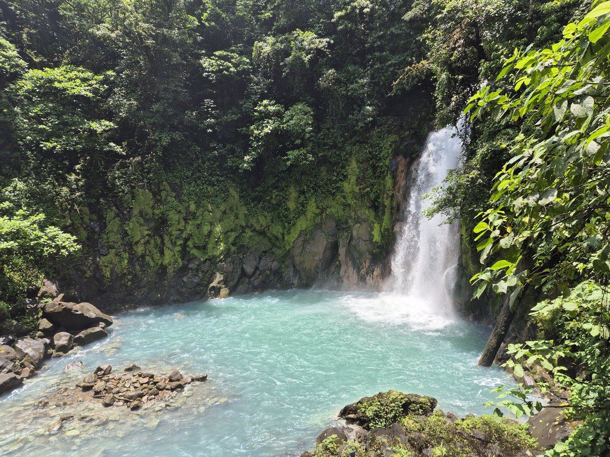 Daniel Clarke tweet media