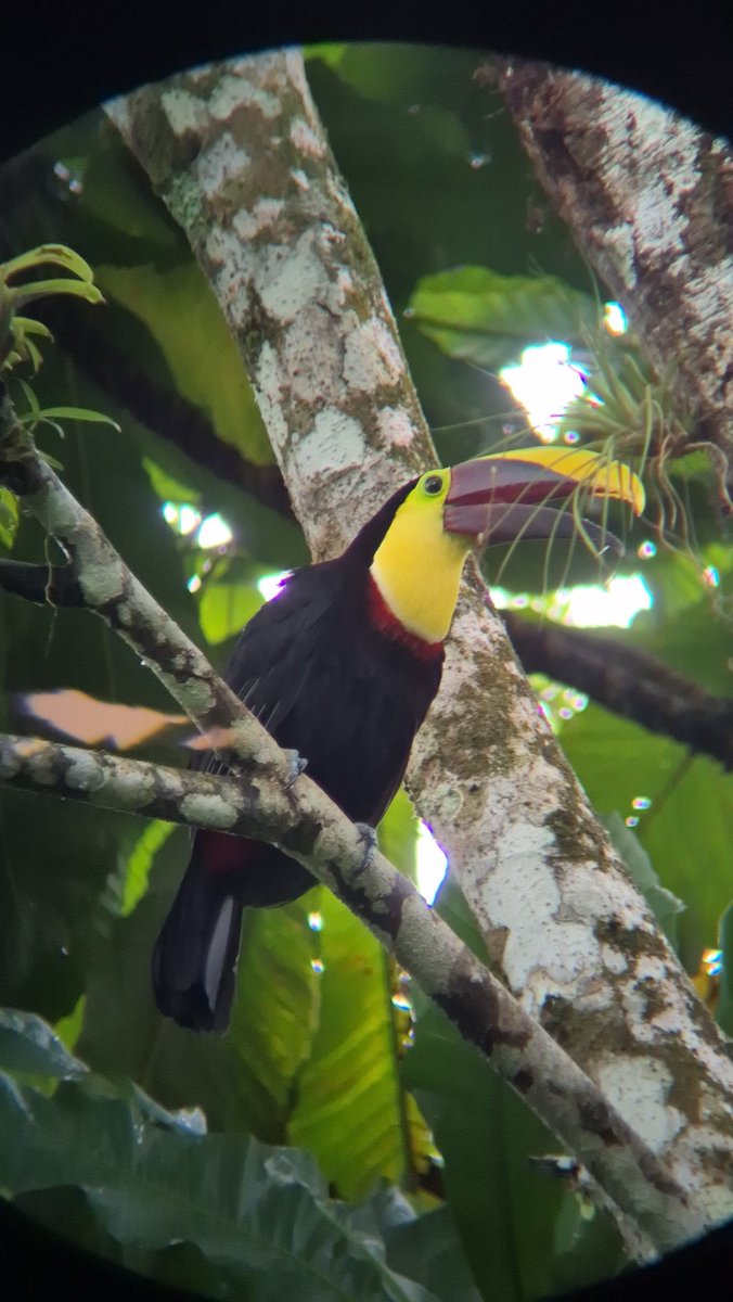 Daniel Clarke tweet media