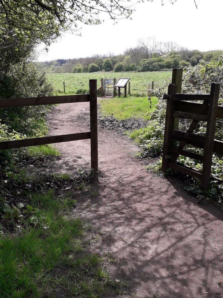 Top entrance to west paddock at Cosmeston is permanently open allowing horse riders to access the paddock.  Hoof marks and horse manure all around the field. @VOGCouncil please fix this  - it's dangerous for dog walkers and the horse riders
