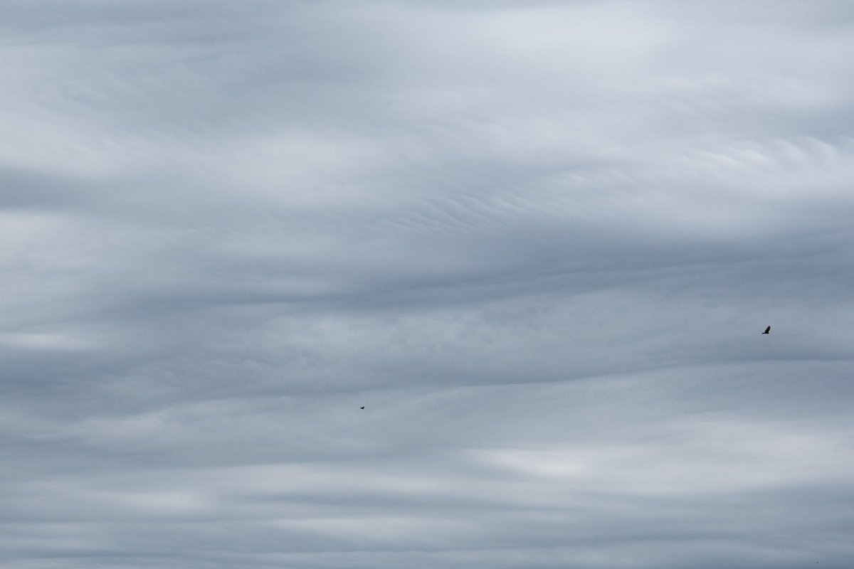 #silentsunday #fujifilm #fujixt30ii #photography #naturephotography #skyscape #cloudscapephotography #clouds