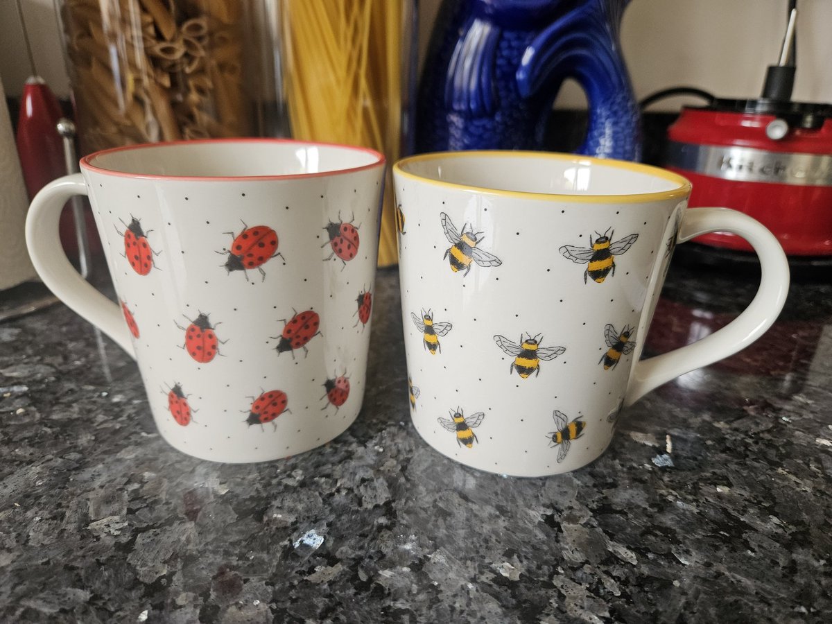 Proposal writing tea break existential crisis: topic references pollinators and natural enemies in ecological networks - which mug do I choose?!?! 🤯🤯😆🤷‍♀️