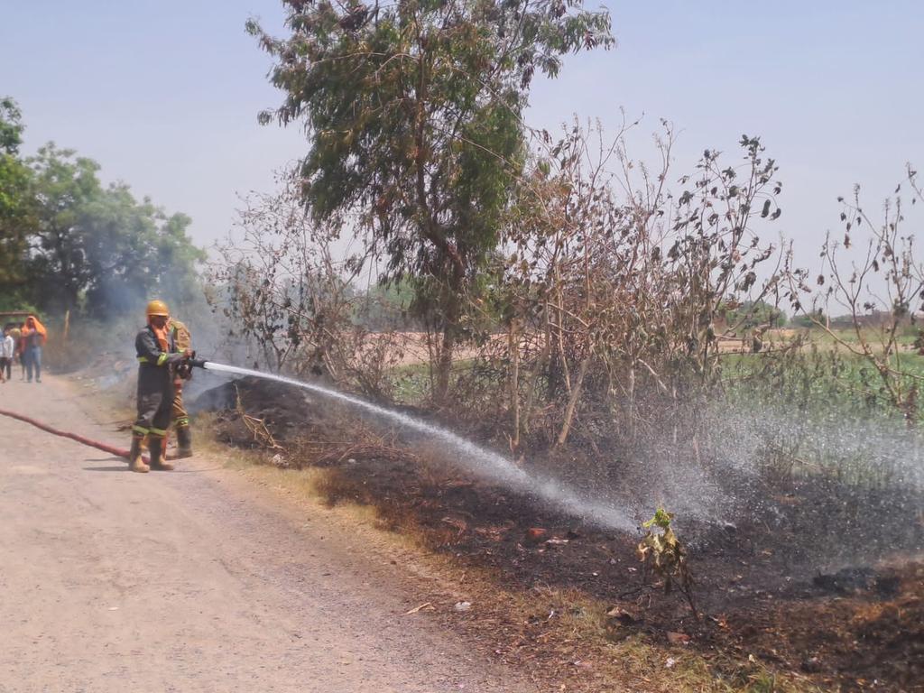 आज दिनांक 28.04.2024 को थाना महाराजपुर क्षेत्रांतर्गत ग्राम महुआ में घूरे में आग की सूचना पर त्वरित कार्यवाही करते हुए एफएस जाजमऊ से 01 यूनिट अतिशीघ्र घटनास्थल पहुंची एवं आग को पूर्ण रूप से बुझाते हुए पास ही खड़ी गेंहू की फसल को सुरक्षित बचा लिया गया।