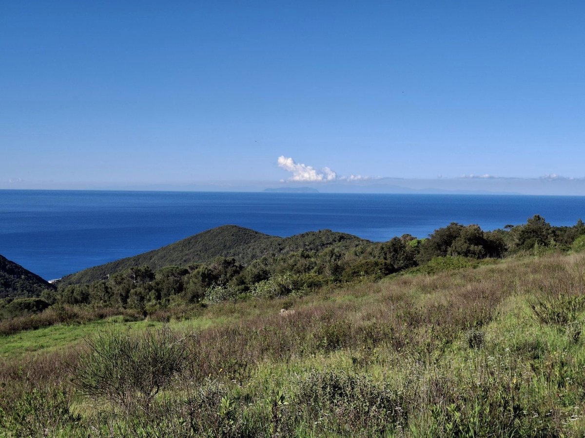 L'isola di Capraia 🇮🇹 al centro della foto e, ancora più in fondo, la Corsica 🇫🇷 viste da Livorno. 
📸: 21 aprile 2024. 
🌐📷: 43°29'08.5'N 10°21'44.7'E. 

#Tuscany #Italy #France #Border