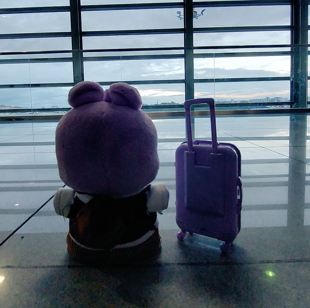 Hey Mang Mommies!!! Let's use #travelingmang #travelmang to share Mangie's journey everywhere. I'm curious where he would next land 🫰🏼