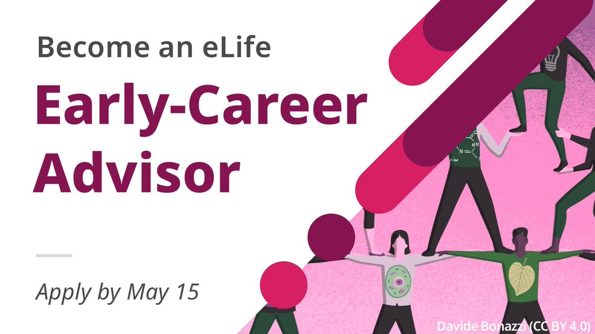 📢 We’re looking for seven researchers to join our Early-Career Advisory Group! The ECAG is a small yet diverse committee, which directly influences and supports our work to transform research communication. #ECR Want to get involved? Apply by May 15: elifesciences.org/inside-elife/3…